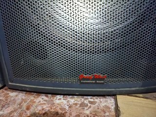 Altavoces Profesionales. 300W nominal