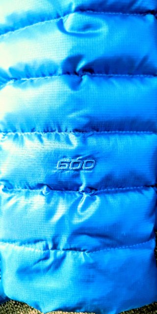 Chaqueta The North Face Plumas Azul