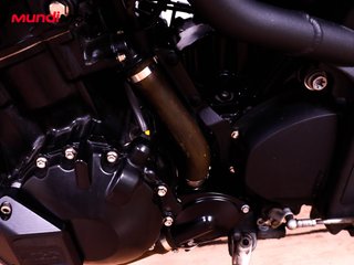 TRIUMPH SPEED TRIPLE 1050