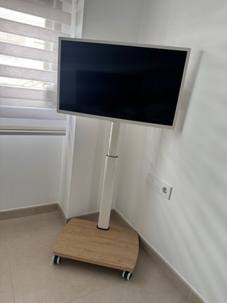 TV LG Smart TV 32 con soporte y ruedas