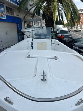 Embarcación Foreña 605 con Motor Mercury