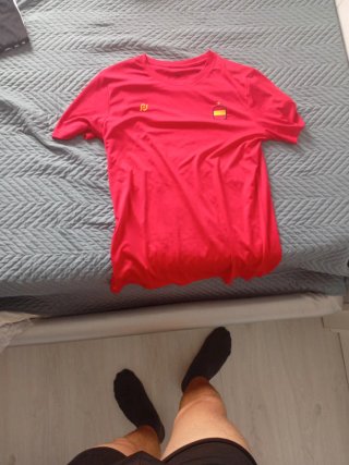 Lote de 5 prendas: 4 camisetas y 1 pantalón