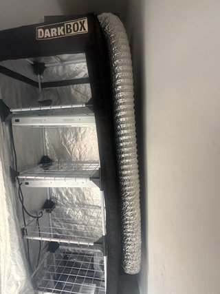 Kit Cultivo Completo Esquejes - Armario Dark Box +