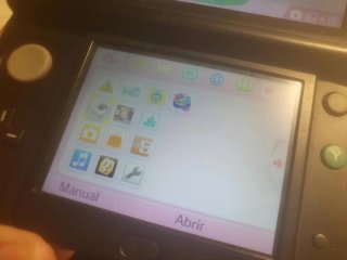 Nintendo New 3DS Negra Mas harvest moon
