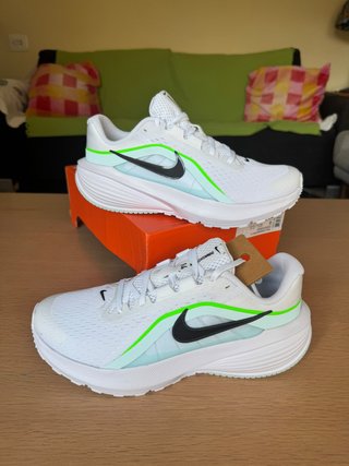 Zapatillas Nike Downshifter 14
