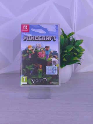 Minecraft Nintendo Switch