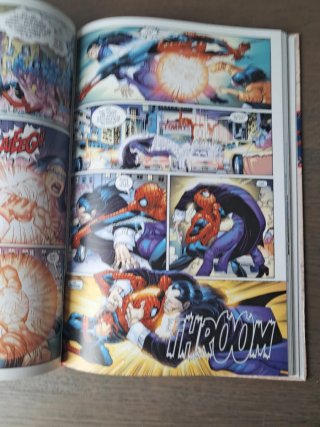 Spiderman Marvel Heroes