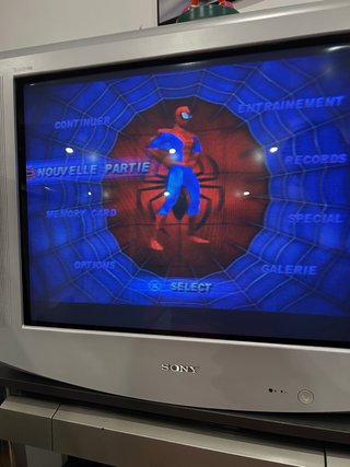🇫🇷 Spider-Man (PS1)