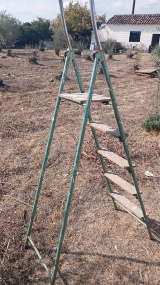 Escalera de Mano Metálica