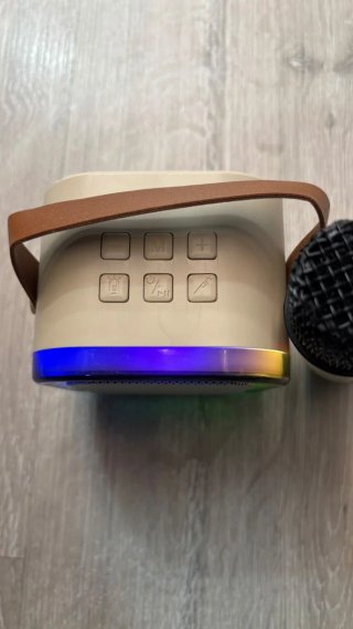 Altavoz Bluetooth con Micrófono Karaoke