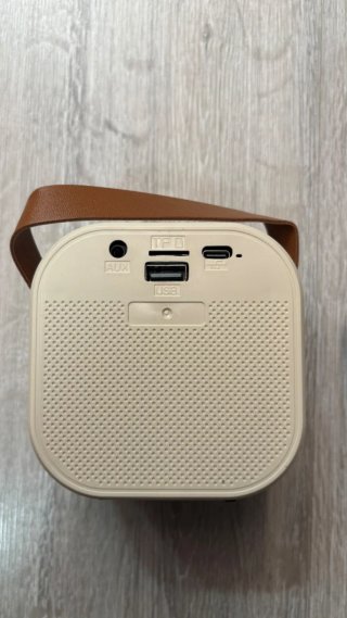 Altavoz Bluetooth con Micrófono Karaoke