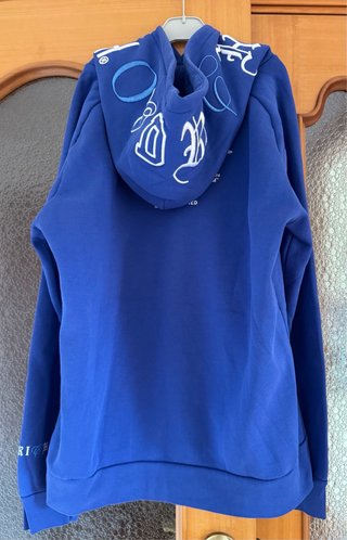 Sudadera Hoodrich Azul Talla L