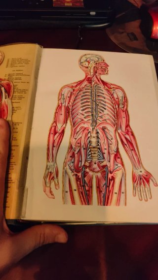 Vintage El Libro de la Salud Fernández Cruz Danae