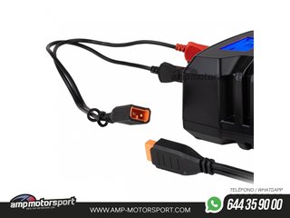 CARGADOR DE BATERÍA DIGITAL AGM GEL STD LIFEPO4 MAX 6A 6/12V PRO HOOK AMiO-04532