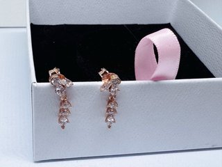 Conjunto Pandora Herbario