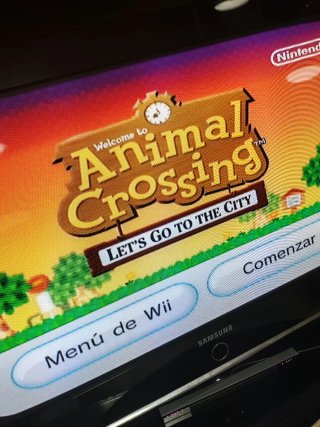 Animal Crossing: Let's Go to the City Wii