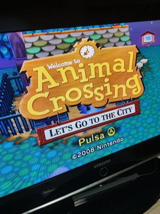 Animal Crossing: Let's Go to the City Wii