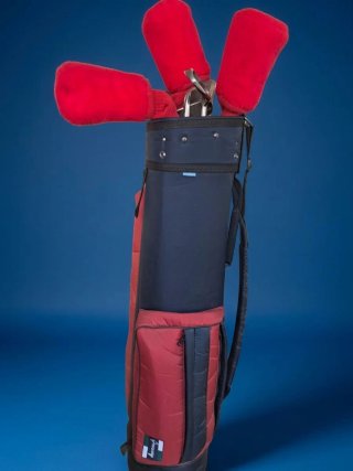 Bolsa de golf con 11 palos y carro
