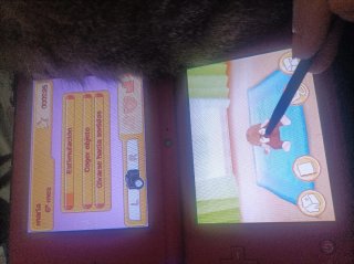 3 Juegos Nintendo DS