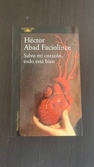 Salvo mi corazón,todo está bien.