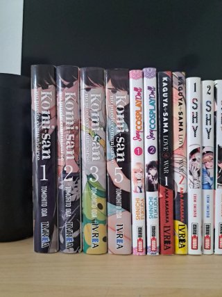 Lote de manga variado