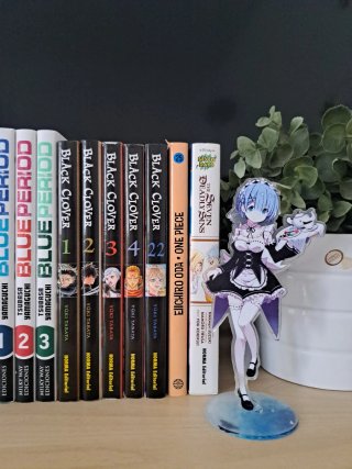 Lote de manga variado