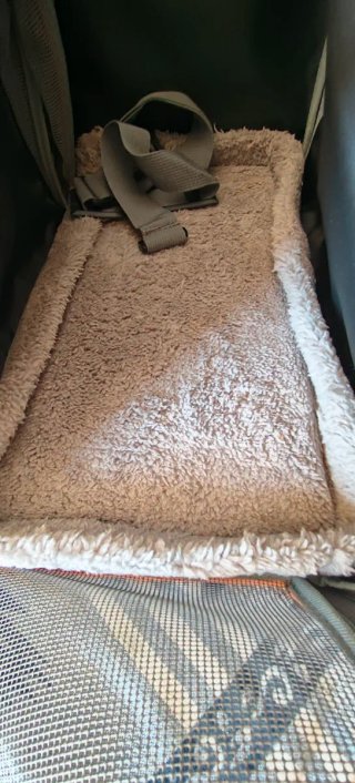 TRANSPORTÍN mediano para perros