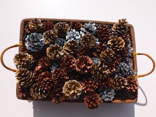 Piñas Decorativas