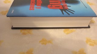 Pesadillas y alucinaciones. Stephen King