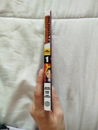 My Hero Academia Vigilante Illegals 1