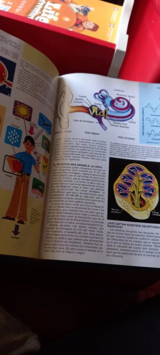 El libro gordo de Petete