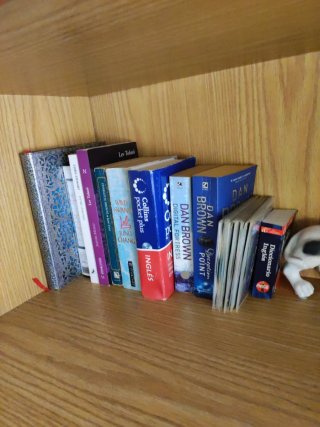 Lote de libros y diccionarios en inglés.