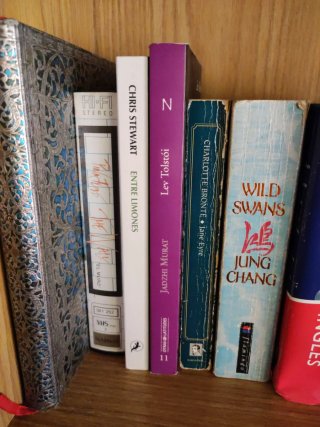 Lote de libros y diccionarios en inglés.