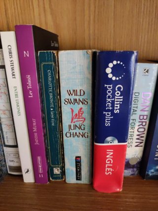 Lote de libros y diccionarios en inglés.