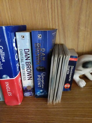 Lote de libros y diccionarios en inglés.