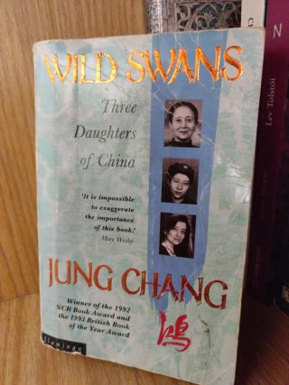 Lote de libros y diccionarios en inglés.