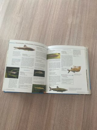 Atlas ilustrado del acuario