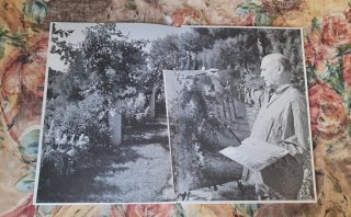 LIBRO ONOFRE PROHENS Y FOLLETO EXPOSICIÓN