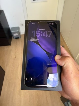 iPhone 13 Pro Max