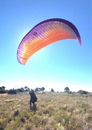 Parapente OZONE MOJO 6 iniciación