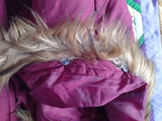 Chaqueta acolchada con capucha y pelo