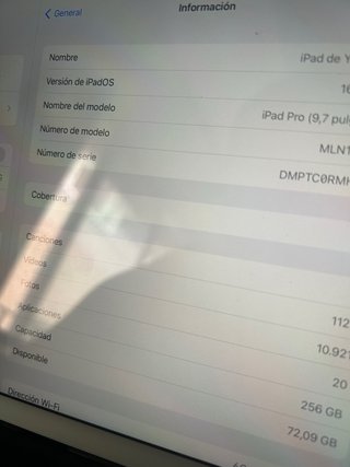 iPad Apple Pro 2016 256 GB