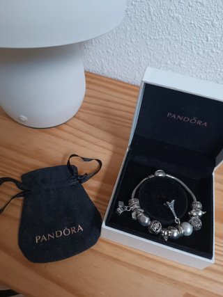 Pulsera con 12 charms