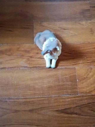 Cane in porcellana