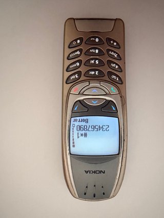 Móvil Nokia 6310i