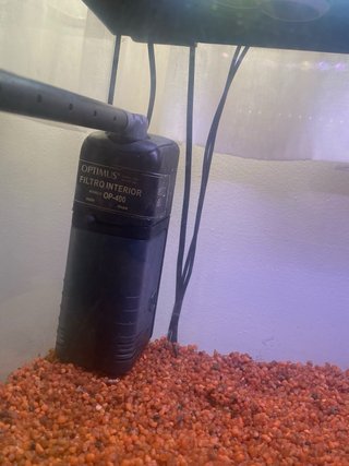 Acuario 42L para peces y mueble