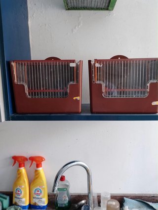 2 Jaulas para Jilgueros, precio unitario