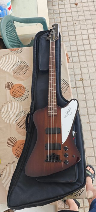 Epiphone Thunderbird Reverse VS Vintage