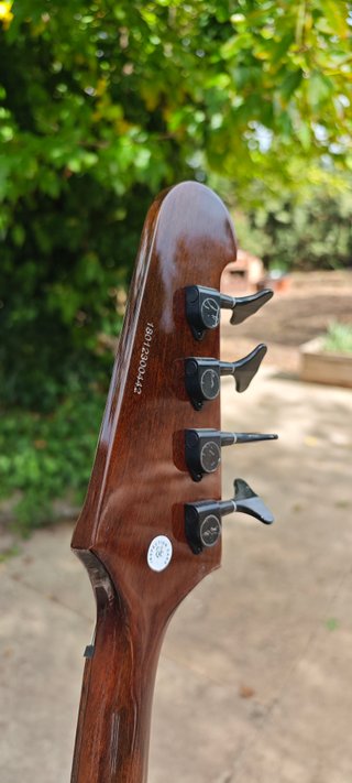 Epiphone Thunderbird Reverse VS Vintage