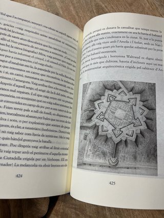 Vae victus